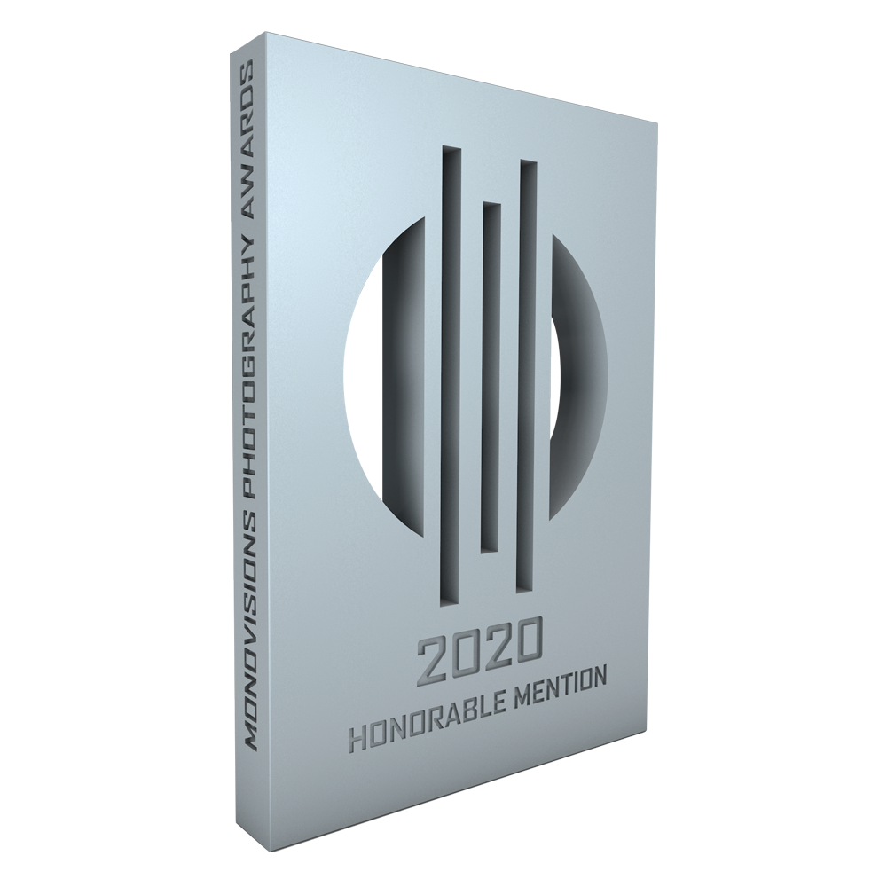 Monovision 2020